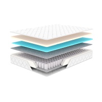 Anatomic mattress with Pocket spring